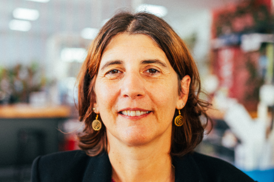 Joana Mendonça image