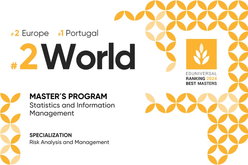 Statistics and Information Management, with a specialization in Risk Analysis and Management image