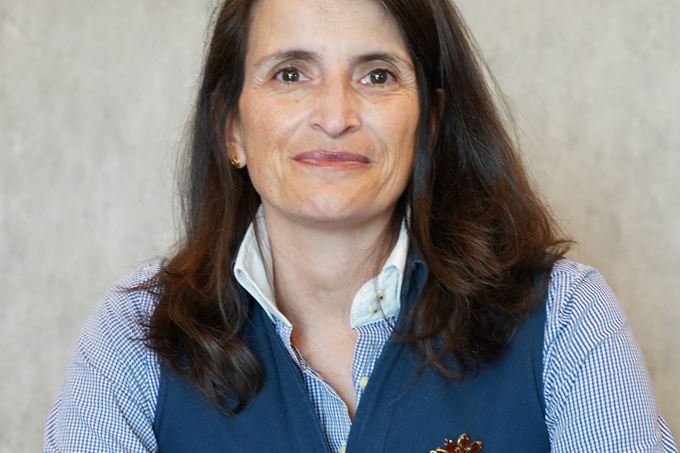 Ana Isabel Calado da Silva Pinto image